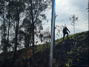 Notícia - Desaparecimento de idoso mobiliza Bombeiros em Forquilhinha